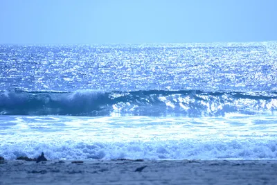 DSC_4997 (Large).JPG